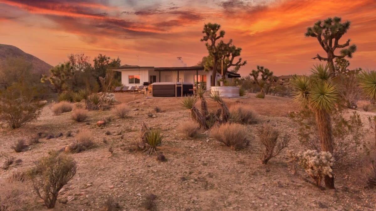 Вилла Kinetic House-Joshua Trees Sculptures Cowboy Pool Юкка-Вэлли Экстерьер фото